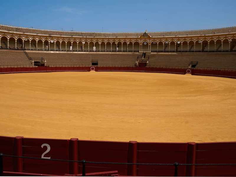 Spain- Bullfighting